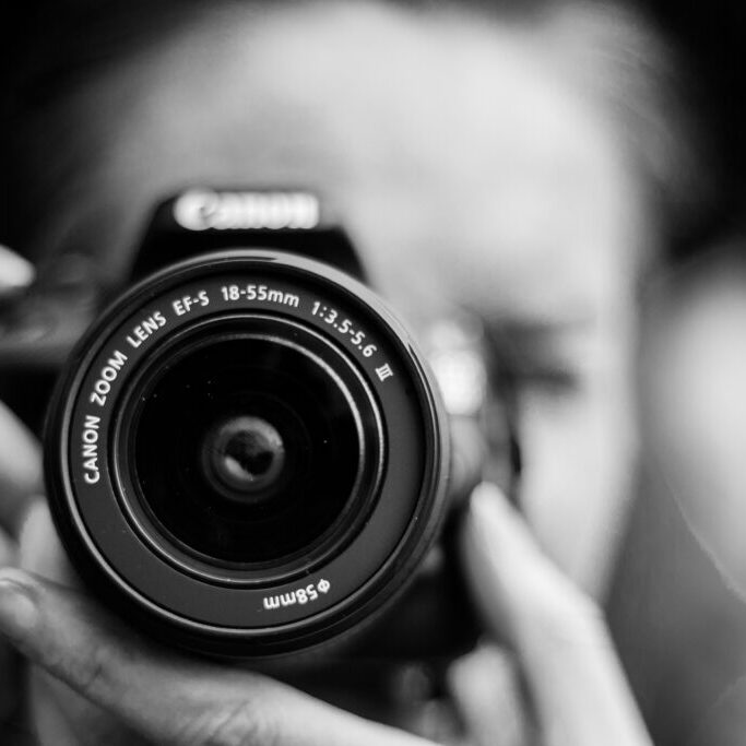 Blogs Wildwood Media